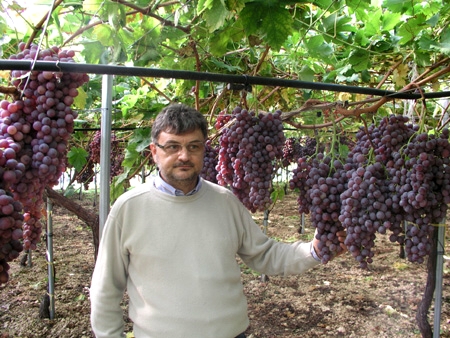 Il costitutore Stefano Somma con la sua varietà apirena Apulia