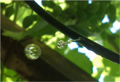 la qualità dell'acqua di irrigazione è fondamentale per la coltura e per il suolo