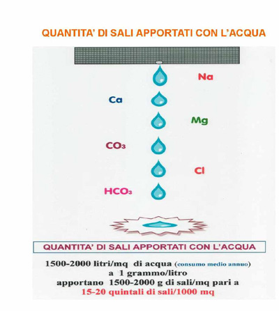 apporto di sali nel suolo a seguito dell'irrigazione