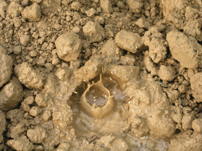 l'idoneità dell'acqua per l'irrigazione è in relazione anche al tipo di suolo